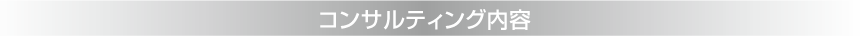コンサルティング内容