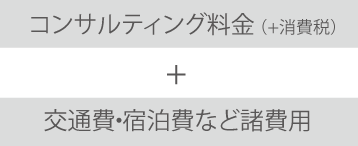 コンサルティング料金（＋消費税）＋交通費•宿泊費など諸費用
